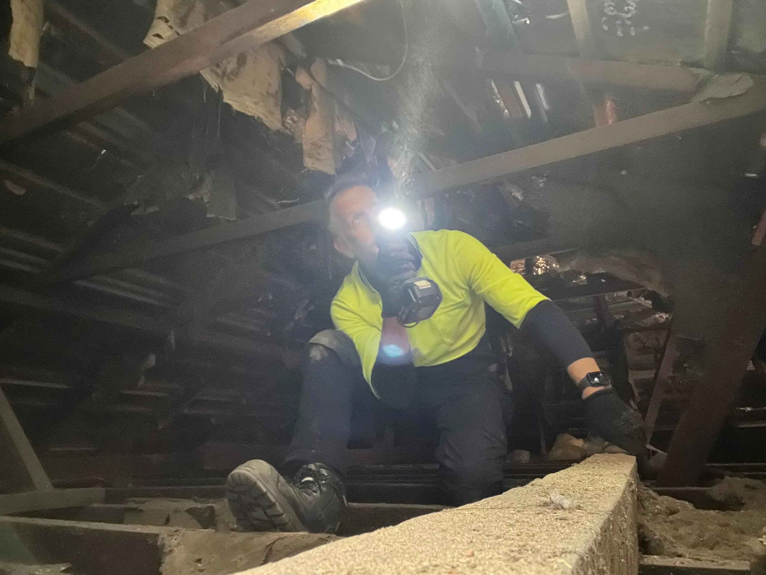 carlton-Termite-treatment