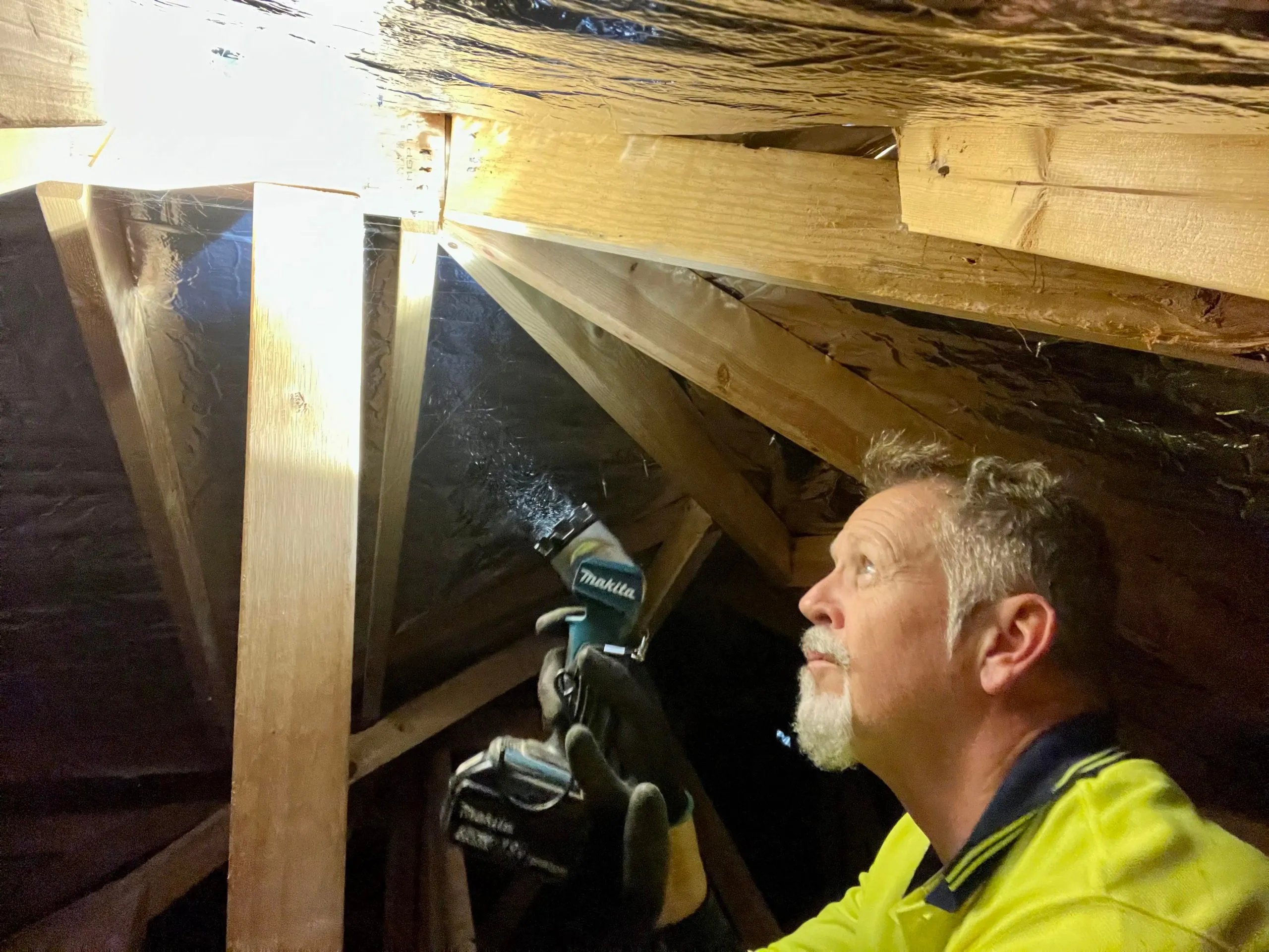 Melbourne-Termite-treatment
