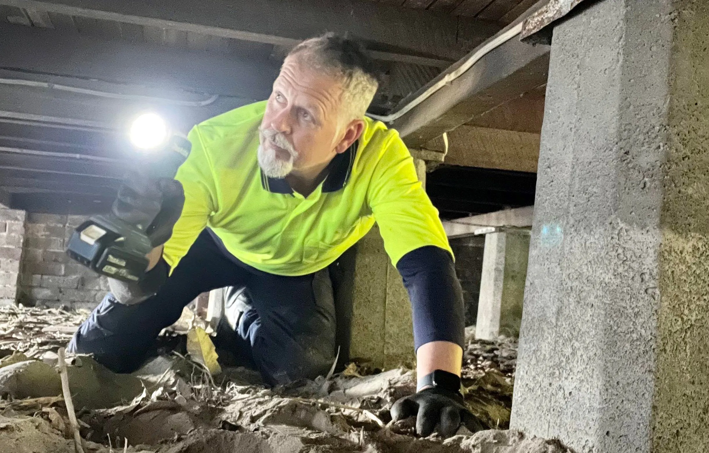 Thornbury-termite-control