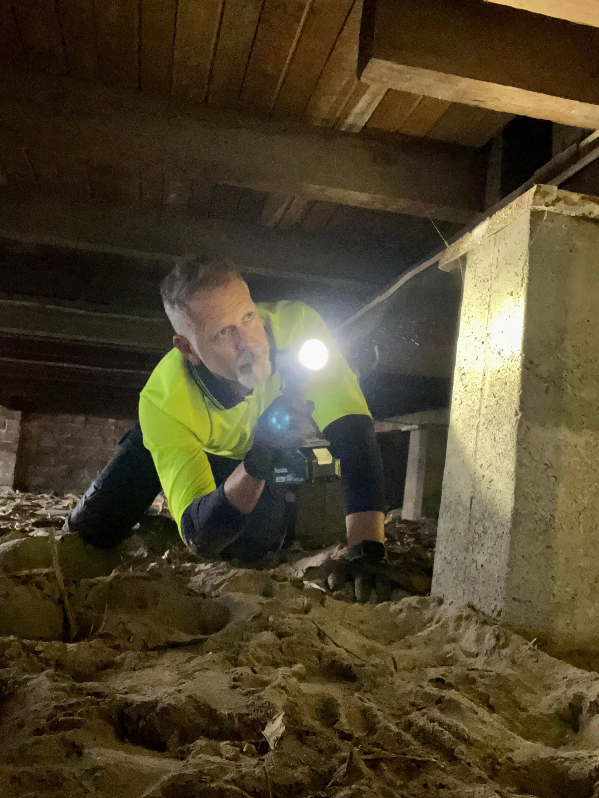 Thornbury-termite-treatment