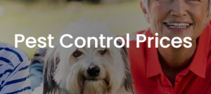 Pest Control Prices Melbourne